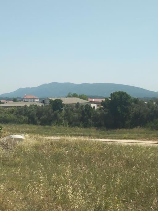 Navigation House Apartment Sesimbra Luaran gambar
